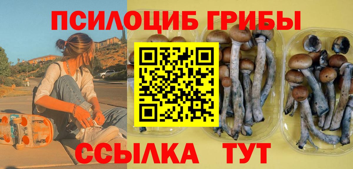 Бердск  как найти закладки  Псилоцибиновые грибы мухоморы  Вход с VPN  Галлюциногенные грибы Magic Shrooms 