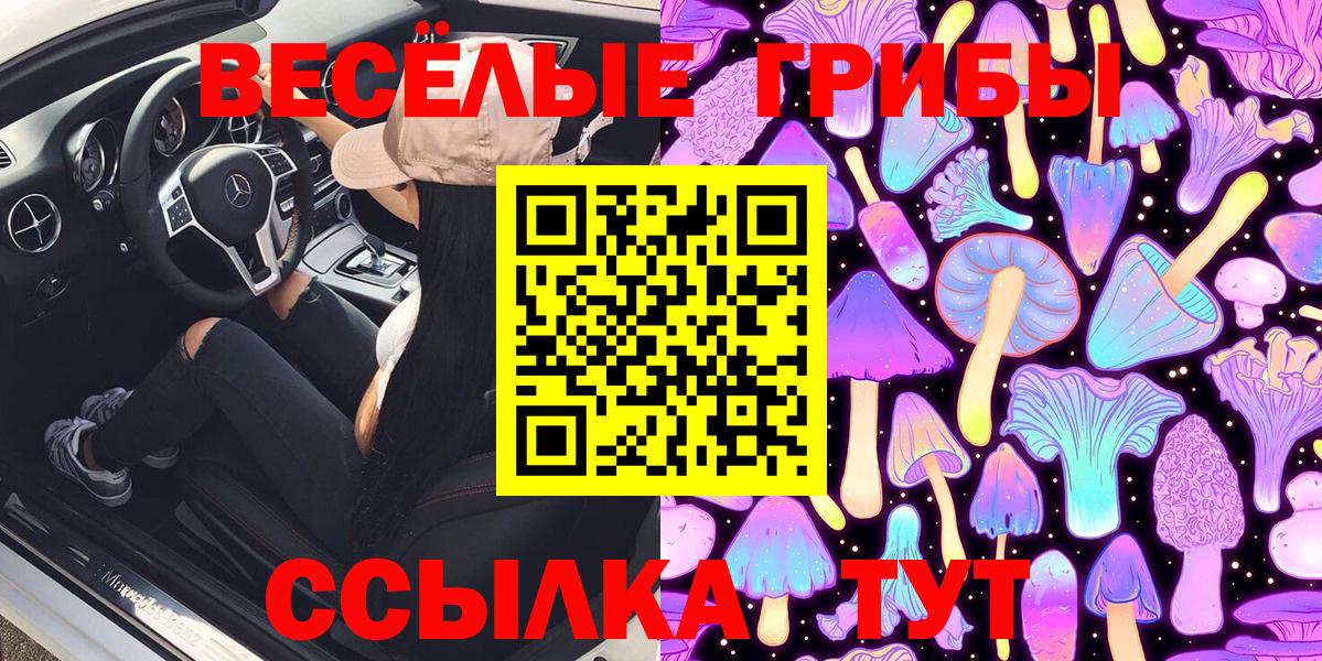 Псилоцибиновые грибы GOLDEN TEACHER Бердск